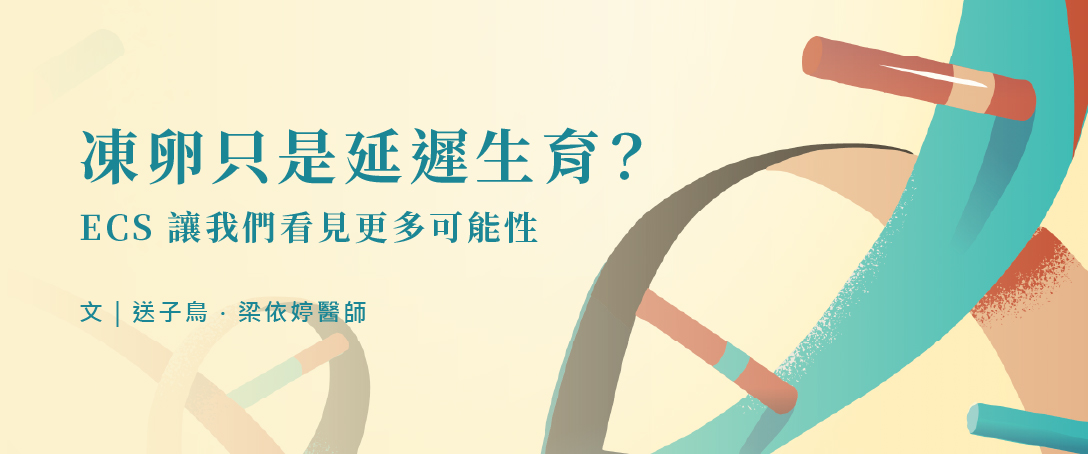 凍卵只是延遲生育?ECS讓我們看見更多可能性