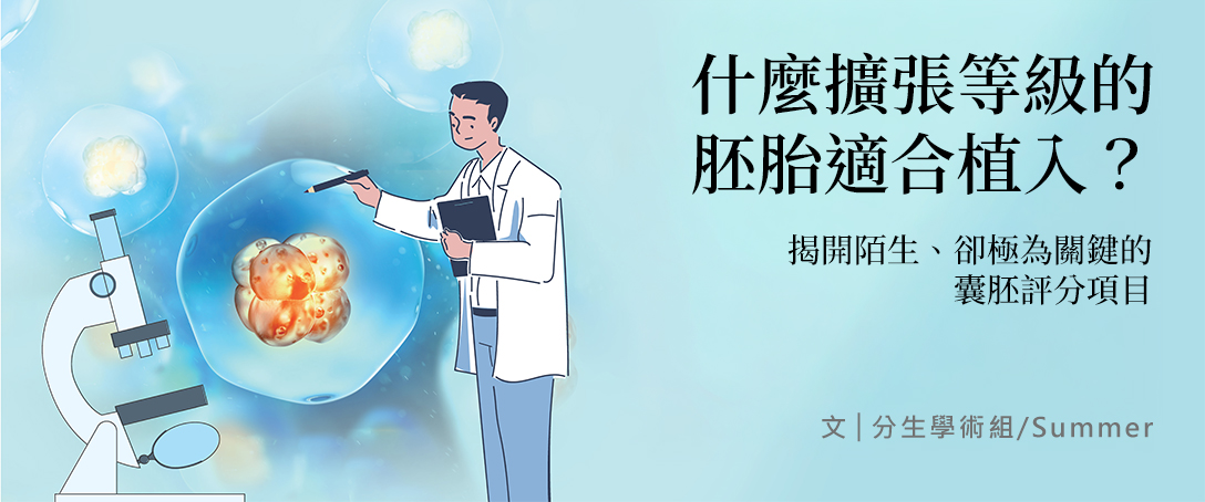 什麼擴張等級的胚胎適合植入？