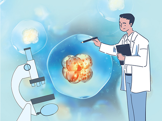 什麼擴張等級的胚胎適合植入？